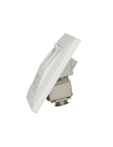 
Placa de Pared para 2 Modulos Keystone Blanco 45º Logilink