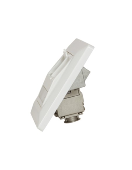 
Placa de Pared para 2 Modulos Keystone Blanco 45º Logilink