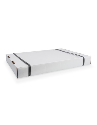 
DN-19 12-U-S-1 DIGITUS ARMARIO 19" 12U 540X400 Gris Desmontado Digitus