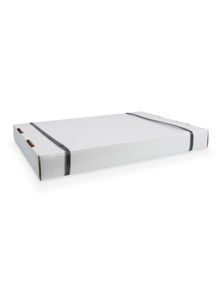 
DN-19 12-U-S-1 DIGITUS ARMARIO 19" 12U 540X400 Gris Desmontado Digitus