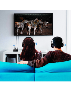 
BT0062 LOGILINK - Transmisor y Receptor de Audio Bluetooth 5.0  Logilink 2