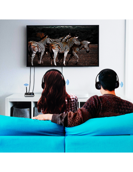 
BT0062 LOGILINK - Transmisor y Receptor de Audio Bluetooth 5.0  Logilink