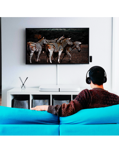 
BT0061 LOGILINK - Transmisor de audio Bluetooth 5.1 , ideal Avion o AVE Logilink