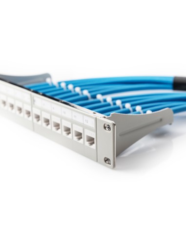 
DN-91419 DIGITUS - Panel 10" 12 Puertos Modular Gris 1U Digitus