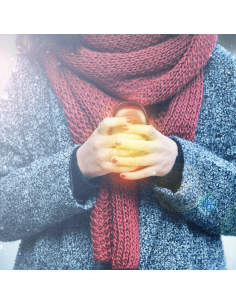 
PA0264 LOGILINK - Bateria Externa Power Bank 4000, Y CALENTADOR DE MANOS
LogiLink PA0264  Batería Externa con 4000 mAh y ca