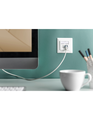 
ejemplo Toma de red 2 x RJ45 CAT 6A clase EA, apantallado, montaje empotrado Salida Cable vertical Blanco