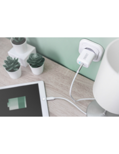 
DA-10196 DIGITUS - Cargador USB  1 puert. 20W 3A 1 x USB-C  Blanco Digitus