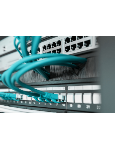 
DN-97661 DIGITUS - Panel de gestión de cables 1U, Cepillo Negro Digitus