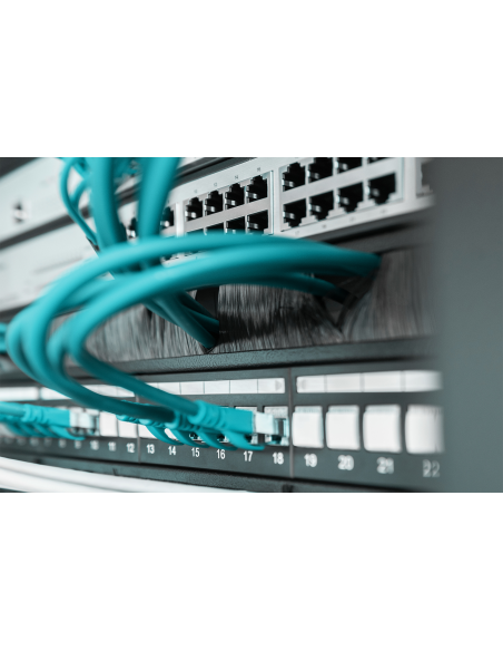 
DN-97661 DIGITUS - Panel de gestión de cables 1U, Cepillo Negro Digitus