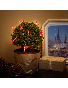 
58117 GOOBAY - Guirnalda de luces ornamentales con 10 Leds Bastones caramelo
Goobay 58117 10 luces LED de bastón de caramelo