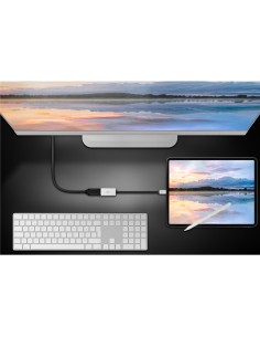 
60195 GOOBAY - Adaptador USB C a DisplayPort  4K @ 120 Hz and 8K @ 60 Hz 32.4 Gbit/s Bulk 2