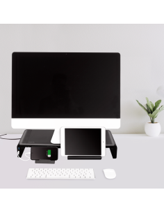 
Logilink BP0141 - Elevador de Monitor ergonómico de 420 a 520 mm de Largo para una cómoda posición de visualización, con 2 x 