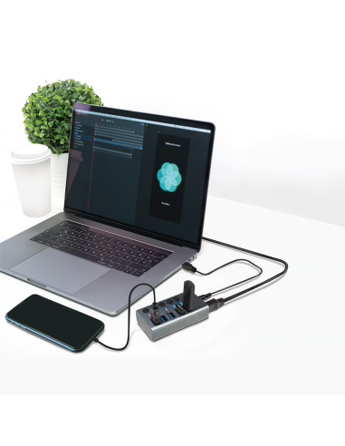 
UA0386 LOGILINK - Concentrador USB 3.2 Gen 1, 4 puertos + 1 puerto de carga rápida, interruptor de encendido/apagado