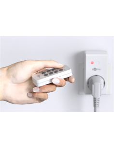 
58692 GOOBAY - Enchufes de radiocontrol, 1 Toma de Seguridad + 1 Mando 2