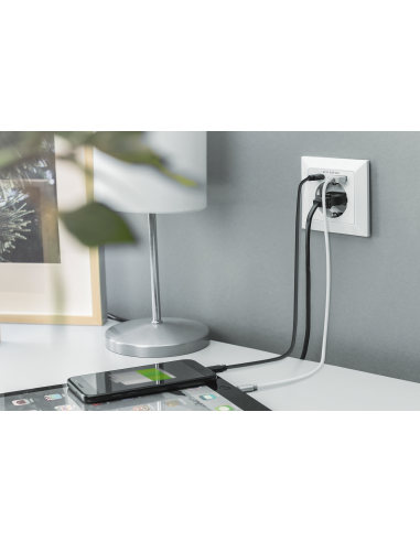 
DA-70615 DIGITUS - Enchufe empotrado con 1 USB Type C, 1 USB A Blanco Digitus