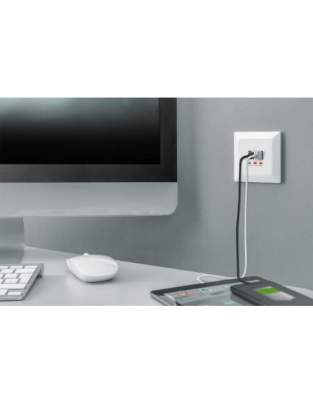 
DA-70618 DIGITUS - Placa empotrado de carga para smartphones/tabletas con 2 USB