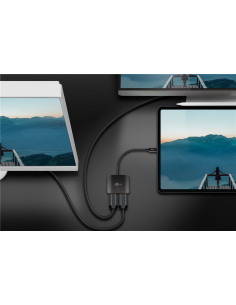 
 USB-C Adapter to 2x HDMI
USB-C connector > HDMI port (type A) 