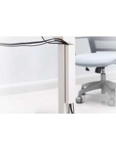 
Raíl guía para cables, magnético blanco

DIGITUS carril magnético para organización de cables - para montaje fácil en la pa