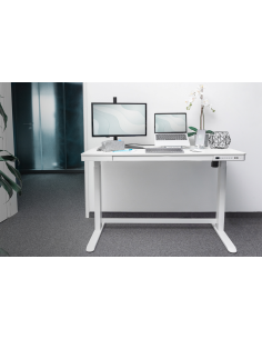 
DA-90406 DIGITUS - Mesa de altura regulable eléctricamente 120x60x12 cm top Carga 50 kg, conexiones de carga USB, blanco.