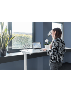 
DA-90407 DIGITUS - Mesa de altura regulable eléctricamente 120x60x18 cm top Carga 50 kg, blanco