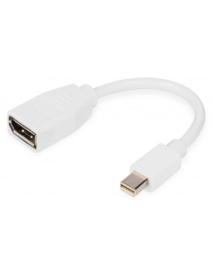 
DB-340405-001-W Adaptador MnDP-Macho 1.2 A DP Hembra 20Cm Blanco Digitus