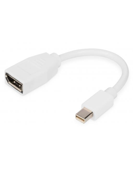 
DB-340405-001-W Adaptador MnDP-Macho 1.2 A DP Hembra 20Cm Blanco Digitus