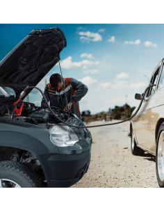 
CP0400 LOGILINK - Cable adaptador de corriente, encendedor de cigarrillos/M a pinza de cocodrilo, negro/rojo, 2 m Logilink
